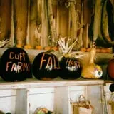 Cuff Farms photo