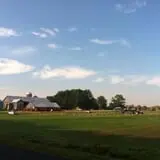 Cuff Farms photo