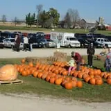 Cuff Farms photo