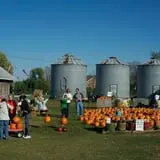 Cuff Farms photo