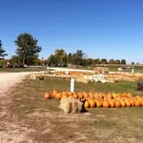 Cuff Farms photo