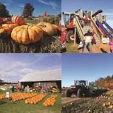Cuff Farms photo