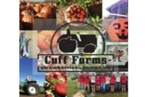 Cuff Farms