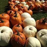 Riverview Farm Haunted Corn Maze photo