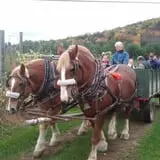 Riverview Farm Haunted Corn Maze photo