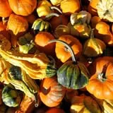 Riverview Farm Haunted Corn Maze photo