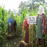 Riverview Farm Haunted Corn Maze photo