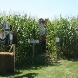 Riverview Farm Haunted Corn Maze photo