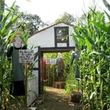 Riverview Farm Haunted Corn Maze photo
