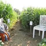 Riverview Farm Haunted Corn Maze photo