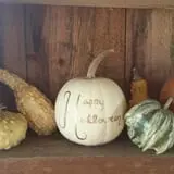 Riverview Farm Haunted Corn Maze photo