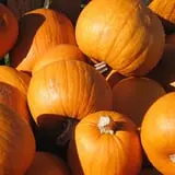 Riverview Farm Haunted Corn Maze photo