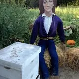 Riverview Farm Haunted Corn Maze photo