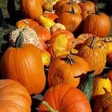 Riverview Farm Haunted Corn Maze photo