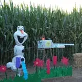 Pumpkin Maze photo