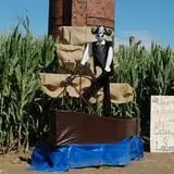 Pumpkin Maze photo
