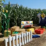Pumpkin Maze photo