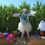 Pumpkin Maze photo
