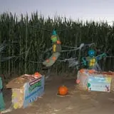 Pumpkin Maze photo