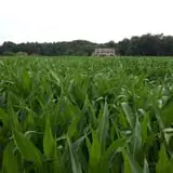 Schuyler Farms Haunted Corn Maze photo