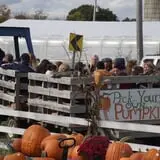 Schuyler Farms Haunted Corn Maze photo