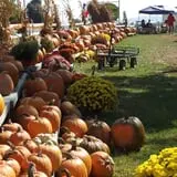 Schuyler Farms Haunted Corn Maze photo