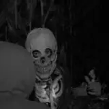 Schuyler Farms Haunted Corn Maze photo