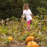 Schuyler Farms Haunted Corn Maze photo