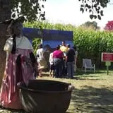 Schuyler Farms Haunted Corn Maze photo