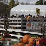 Schuyler Farms Haunted Corn Maze photo