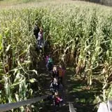 Schuyler Farms Haunted Corn Maze photo
