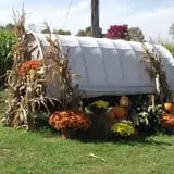 Schuyler Farms Haunted Corn Maze photo