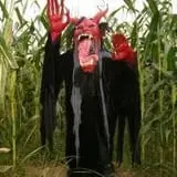 Schuyler Farms Haunted Corn Maze photo