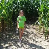 Schuyler Farms Haunted Corn Maze photo