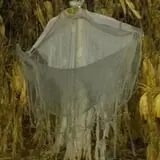 Schuyler Farms Haunted Corn Maze photo