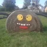 Schuyler Farms Haunted Corn Maze photo