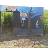 Schuyler Farms Haunted Corn Maze photo