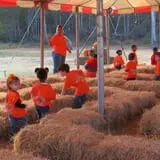 Poppell Farms photo
