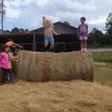 Poppell Farms photo