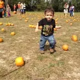 Poppell Farms photo
