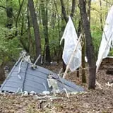 Farmer City Haunted Forest photo