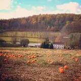 Melick's Town Farm photo