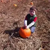 Melick's Town Farm photo