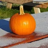 Melick's Town Farm photo