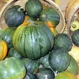Melick's Town Farm photo
