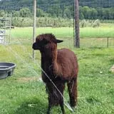 Melick's Town Farm photo