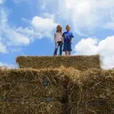Melick's Town Farm photo