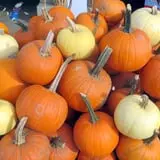 Melick's Town Farm photo