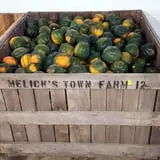 Melick's Town Farm photo
