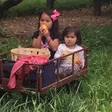 Melick's Town Farm photo